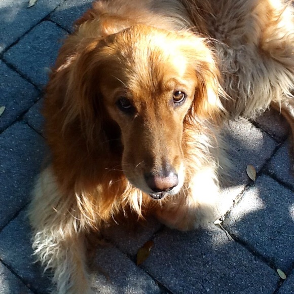 Meet the Posher - Picture 7 of 8